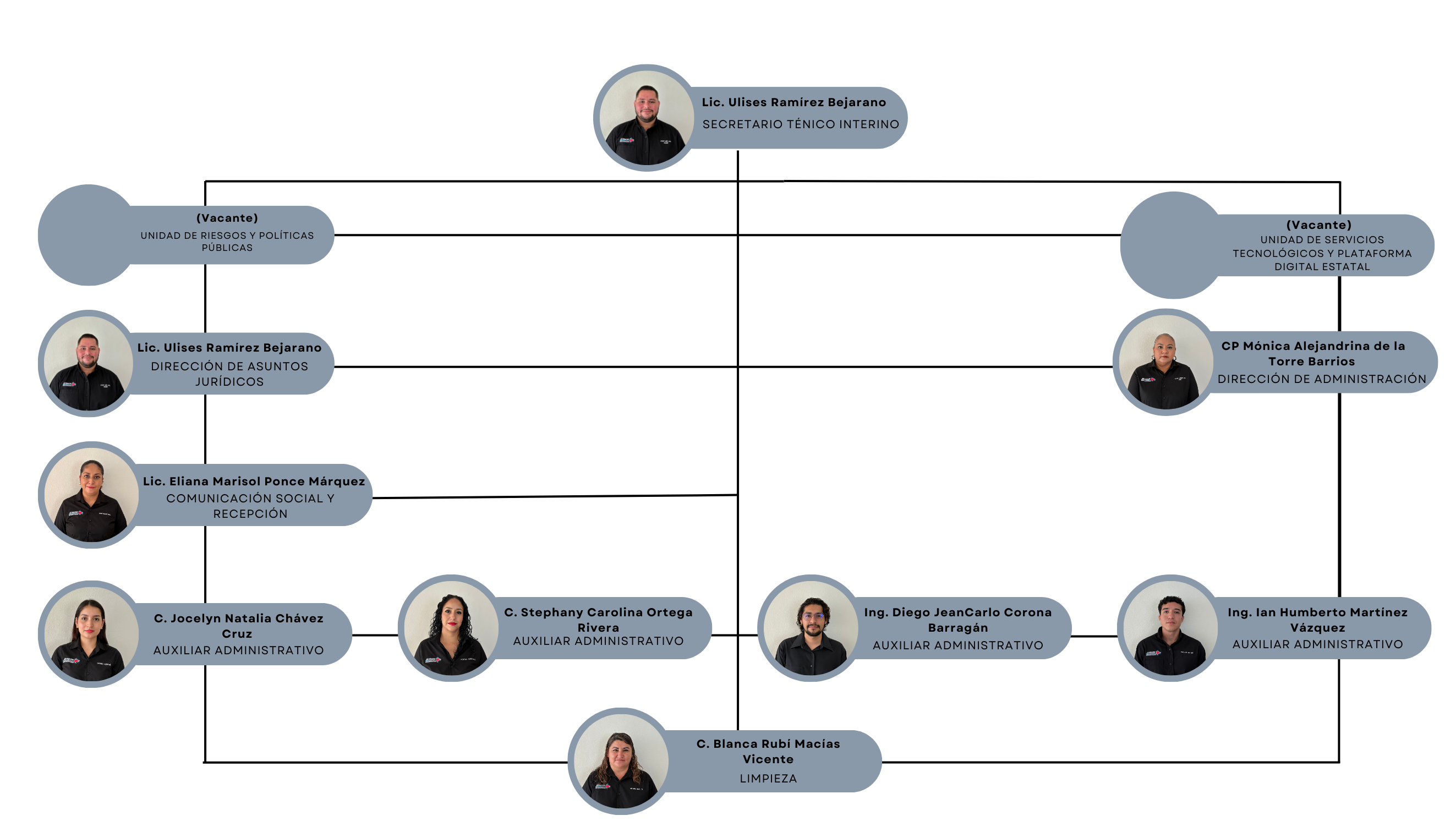Organigrama SESAECol